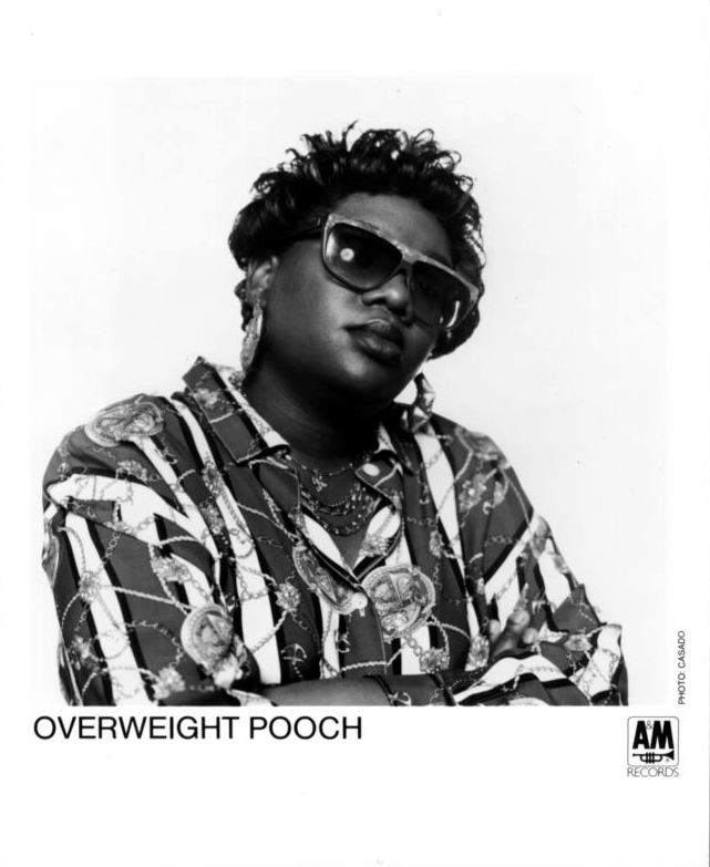 overweight pooch i like コレクション it レコード